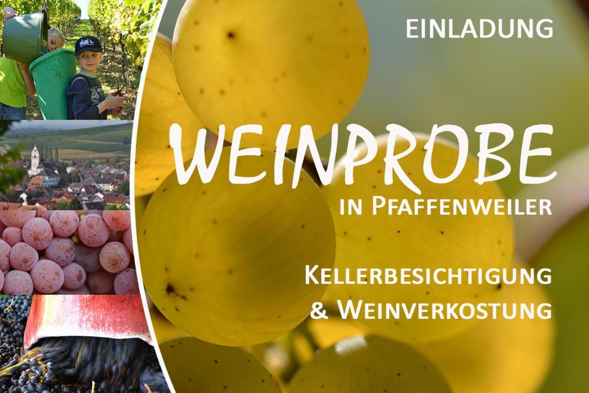 شقة Am Weinberg - Stilvoll, Ruhig, Zum Wohlfuehlen Pfaffenweiler المظهر الخارجي الصورة